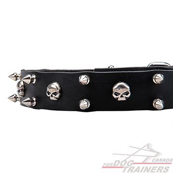 Leather collar for walking