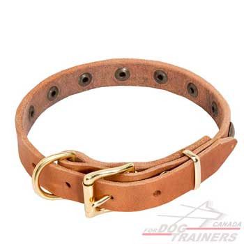 Tan Leather Dog Collar 19 mm in Width