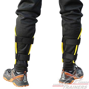 Reliable Bite Suit with Leg Protectors