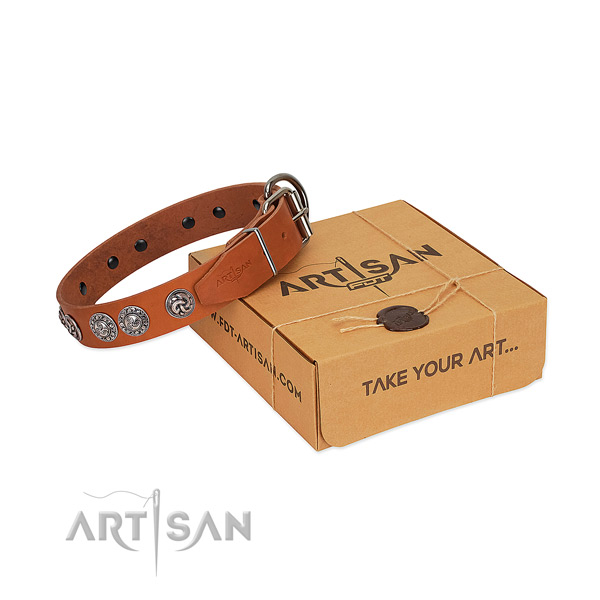 Trendy full grain natural leather collar for your canine walking in style