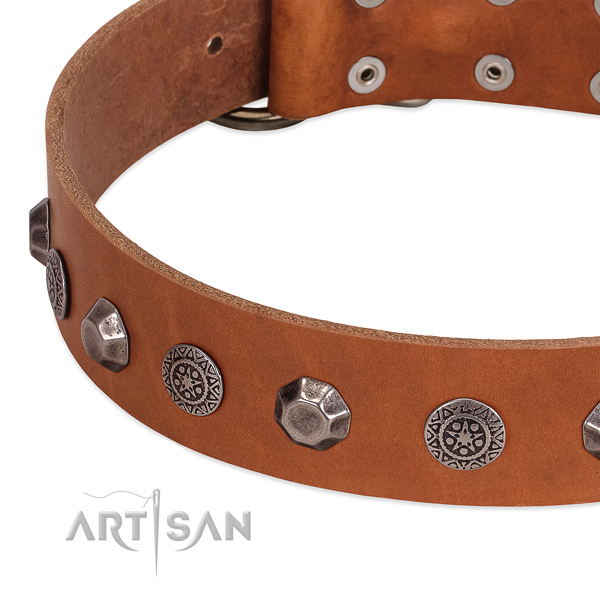 Inimitable leather collar for your dog stylish walking