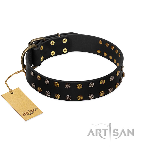 Unique leather dog collar with reliable embellishments