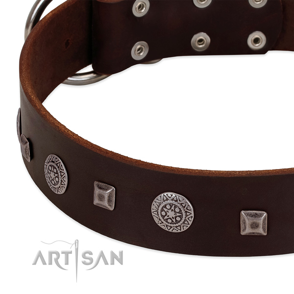 Flexible genuine leather dog collar with impressive embellishments