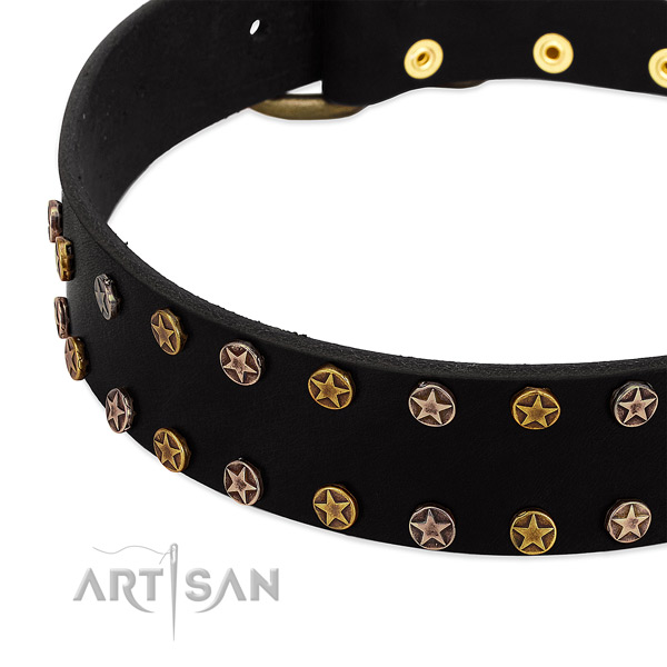 Remarkable embellishments on leather collar for your dog