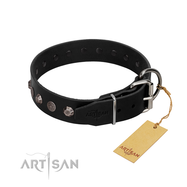 Reliable fittings on genuine leather dog collar for daily use