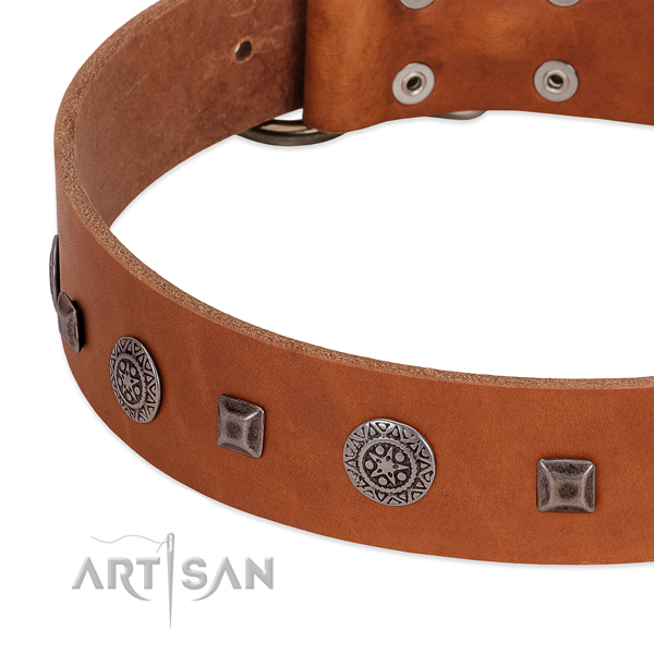 Easy wearing natural leather collar with adornments for your pet