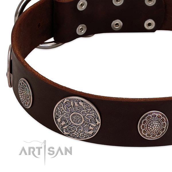 Rust-proof embellishments on full grain natural leather dog collar
