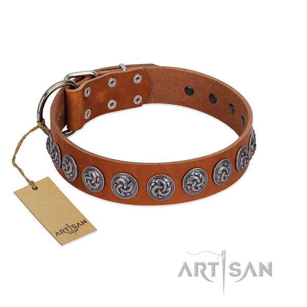 Top rate full grain leather dog collar for your impressive four-legged friend