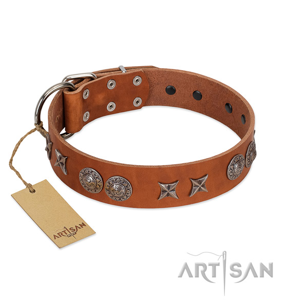 Natural leather collar with designer embellishments for your dog