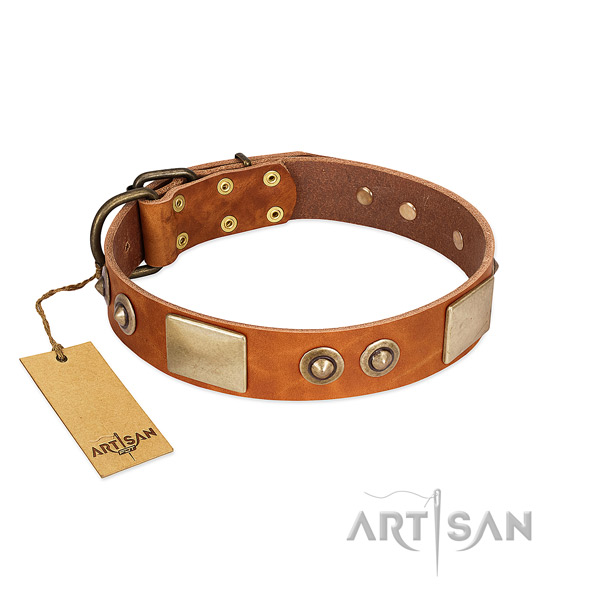 Easy adjustable natural genuine leather dog collar for everyday walking your dog
