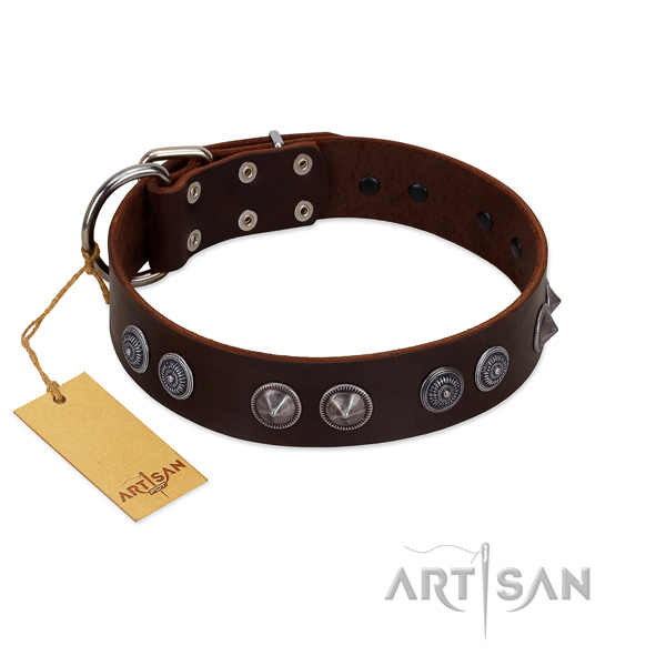 Full grain leather dog collar with amazing studs for your doggie