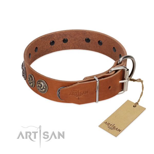 Corrosion resistant hardware on awesome full grain leather dog collar