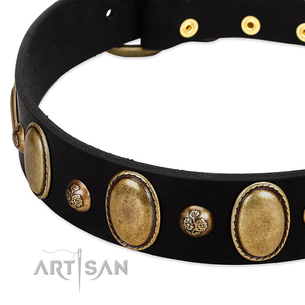 Full grain natural leather dog collar with exquisite embellishments
