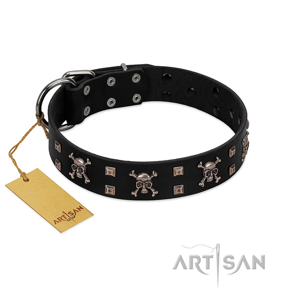 High quality full grain leather dog collar created for your canine