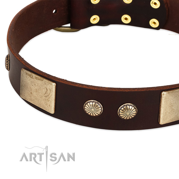 Rust-proof D-ring on genuine leather dog collar for your canine