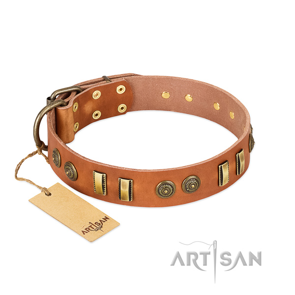 Corrosion resistant decorations on full grain leather dog collar for your pet