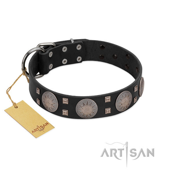 Exceptional genuine leather dog collar for walking your four-legged friend