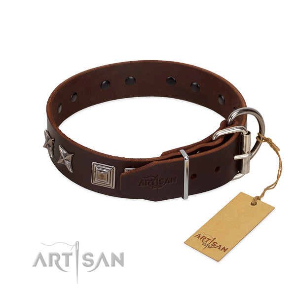 Genuine leather dog collar with unique studs for your canine