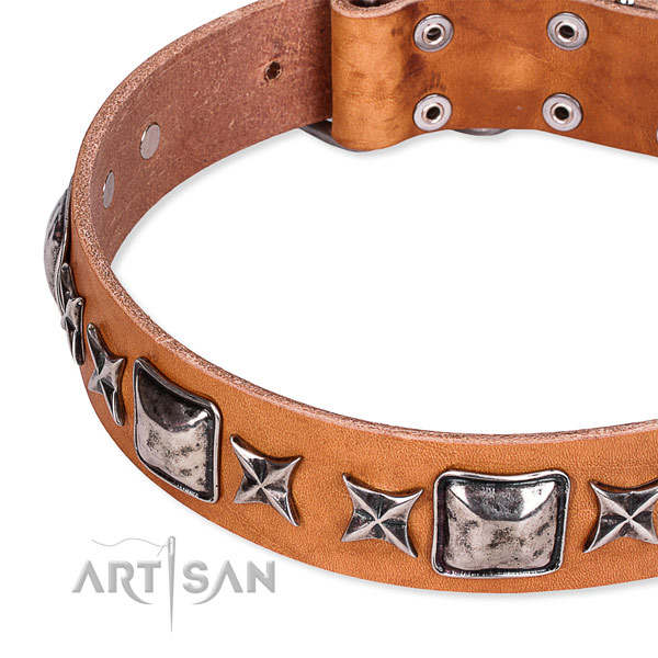 Everyday use studded dog collar of durable full grain leather