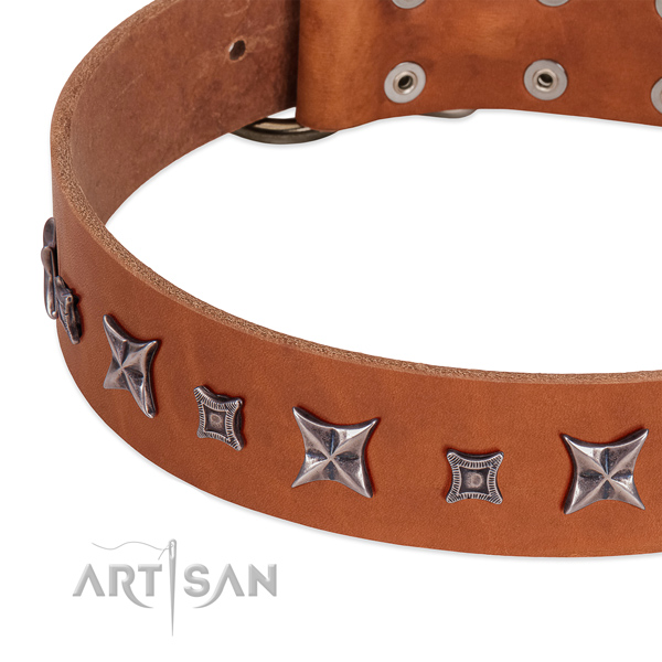 Incredible leather collar for your attractive canine