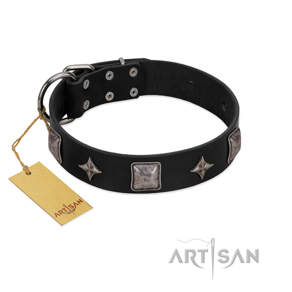Fashionable full grain leather collar for your attractive canine