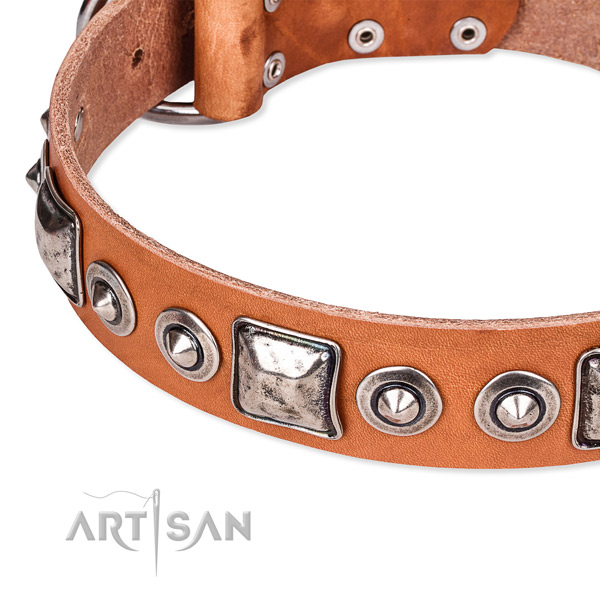 Quality genuine leather dog collar handmade for your beautiful dog
