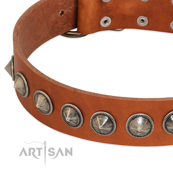 Handy use embellished leather collar for your pet