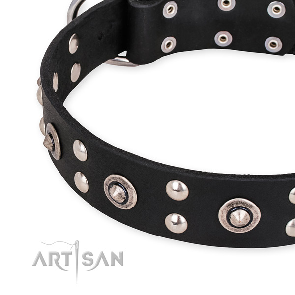 Full grain natural leather collar with reliable D-ring for your beautiful four-legged friend