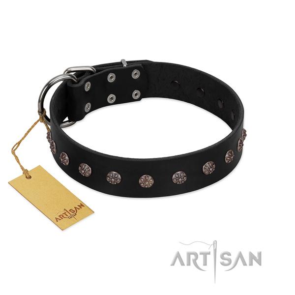 Comfy wearing leather dog collar with unique studs