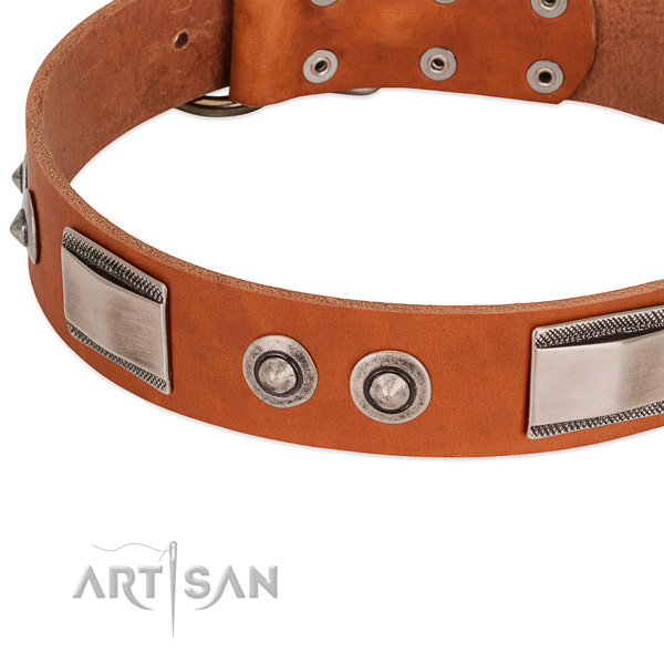 Fine quality natural leather collar with studs for your dog