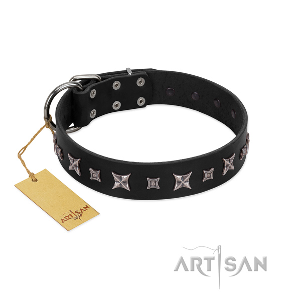 Stunning genuine leather collar for your impressive pet
