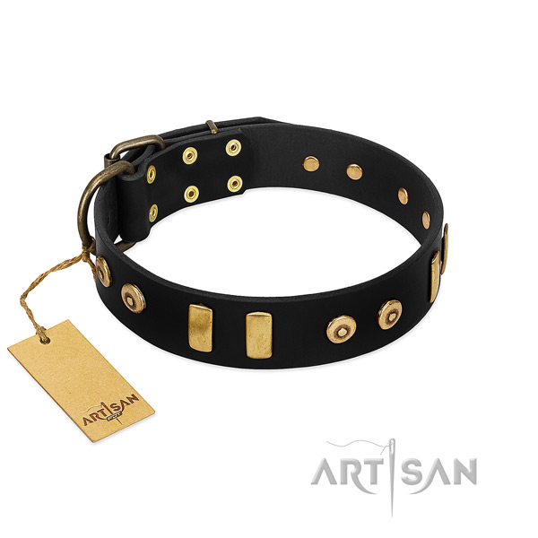 Best quality leather dog collar with trendy adornments