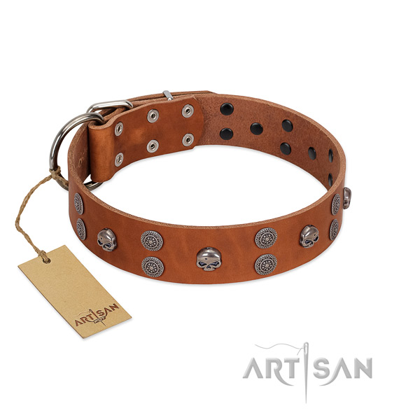 High quality genuine leather dog collar with decorations for stylish walking