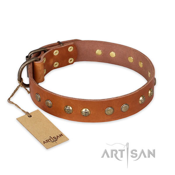 Awesome genuine leather dog collar with rust resistant hardware
