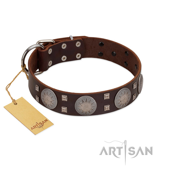 Extraordinary leather dog collar for walking your pet