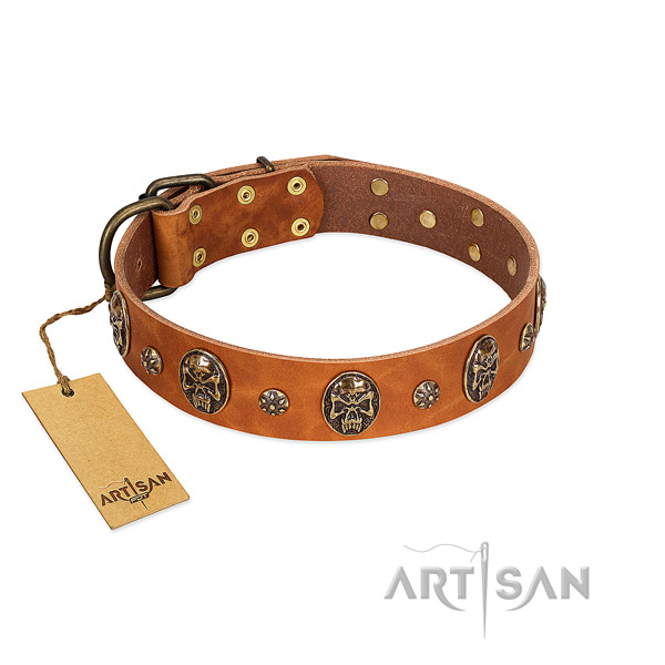 Top notch full grain leather collar for your four-legged friend