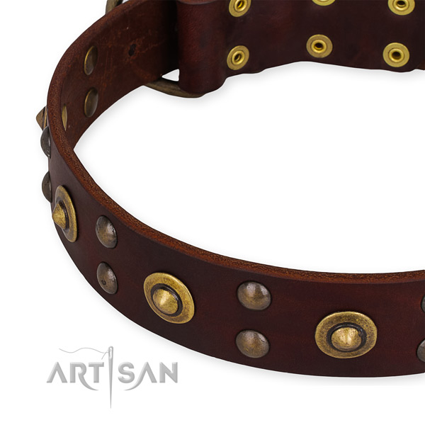 Full grain natural leather collar with corrosion resistant D-ring for your handsome pet