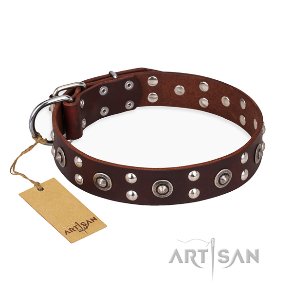 Everyday walking exceptional dog collar with durable D-ring