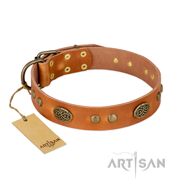 Reliable decorations on genuine leather dog collar for your dog