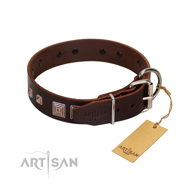 Comfortable wearing natural leather dog collar with awesome adornments