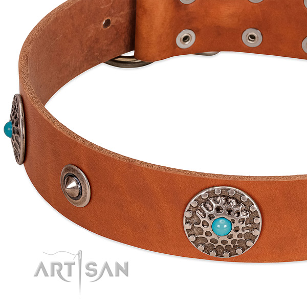 Everyday use top notch full grain genuine leather dog collar with adornments