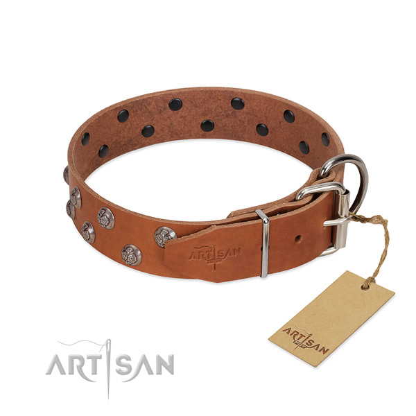Durable D-ring on embellished full grain natural leather dog collar