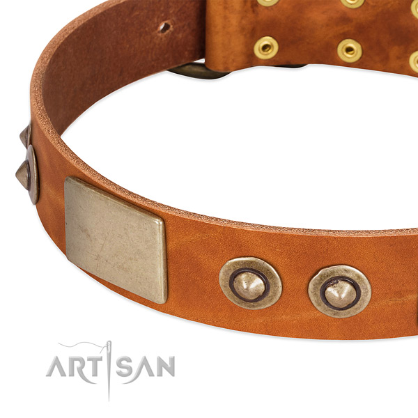 Strong studs on full grain genuine leather dog collar for your dog