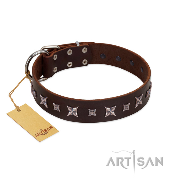High quality leather dog collar with fashionable adornments