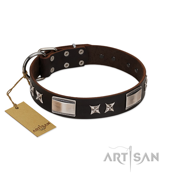 Designer dog collar of full grain natural leather