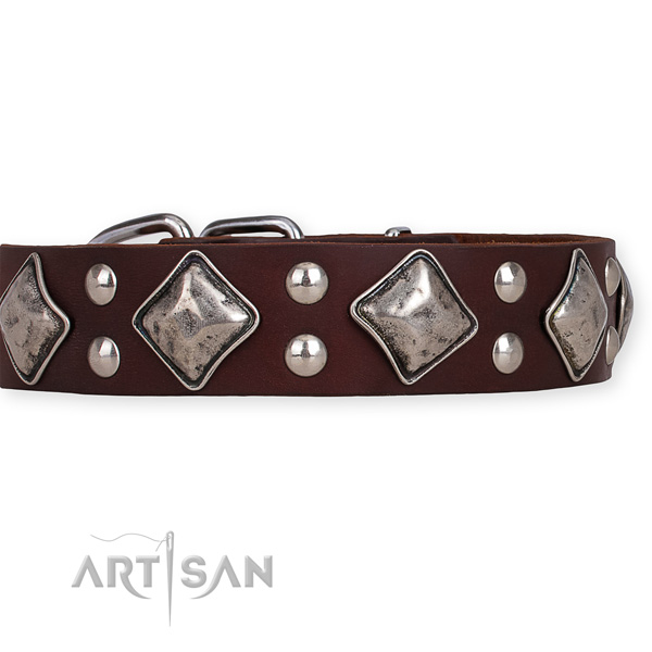 Leather dog collar with significant reliable embellishments