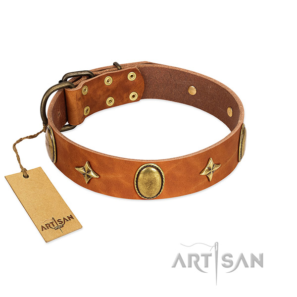 Gentle to touch full grain leather dog collar with rust resistant adornments