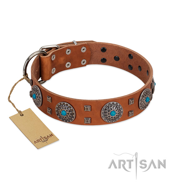 Handy use leather dog collar with inimitable studs