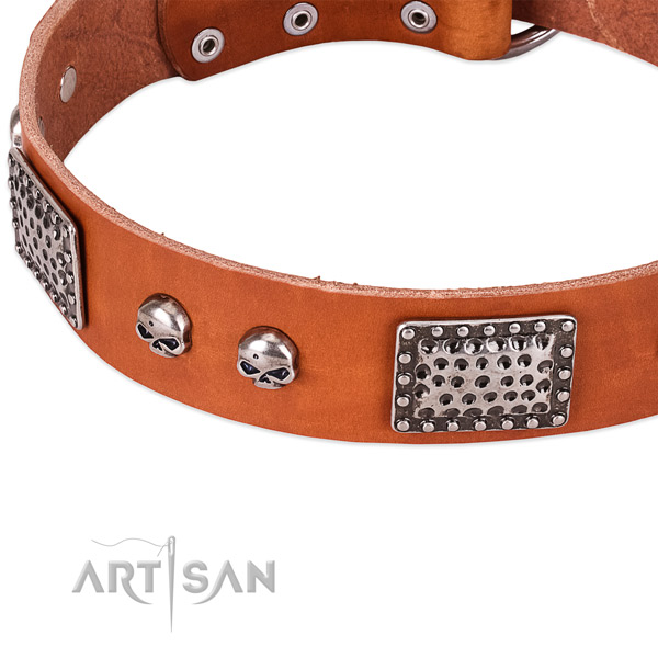 Corrosion proof fittings on full grain genuine leather dog collar for your four-legged friend