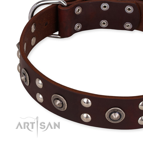 Full grain natural leather collar with corrosion proof traditional buckle for your attractive four-legged friend